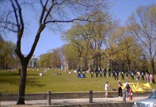 Students lounging on Bascom Hill.  In the foreground are Amnesty Internation signs.