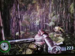 Screenshot: Jungle scene